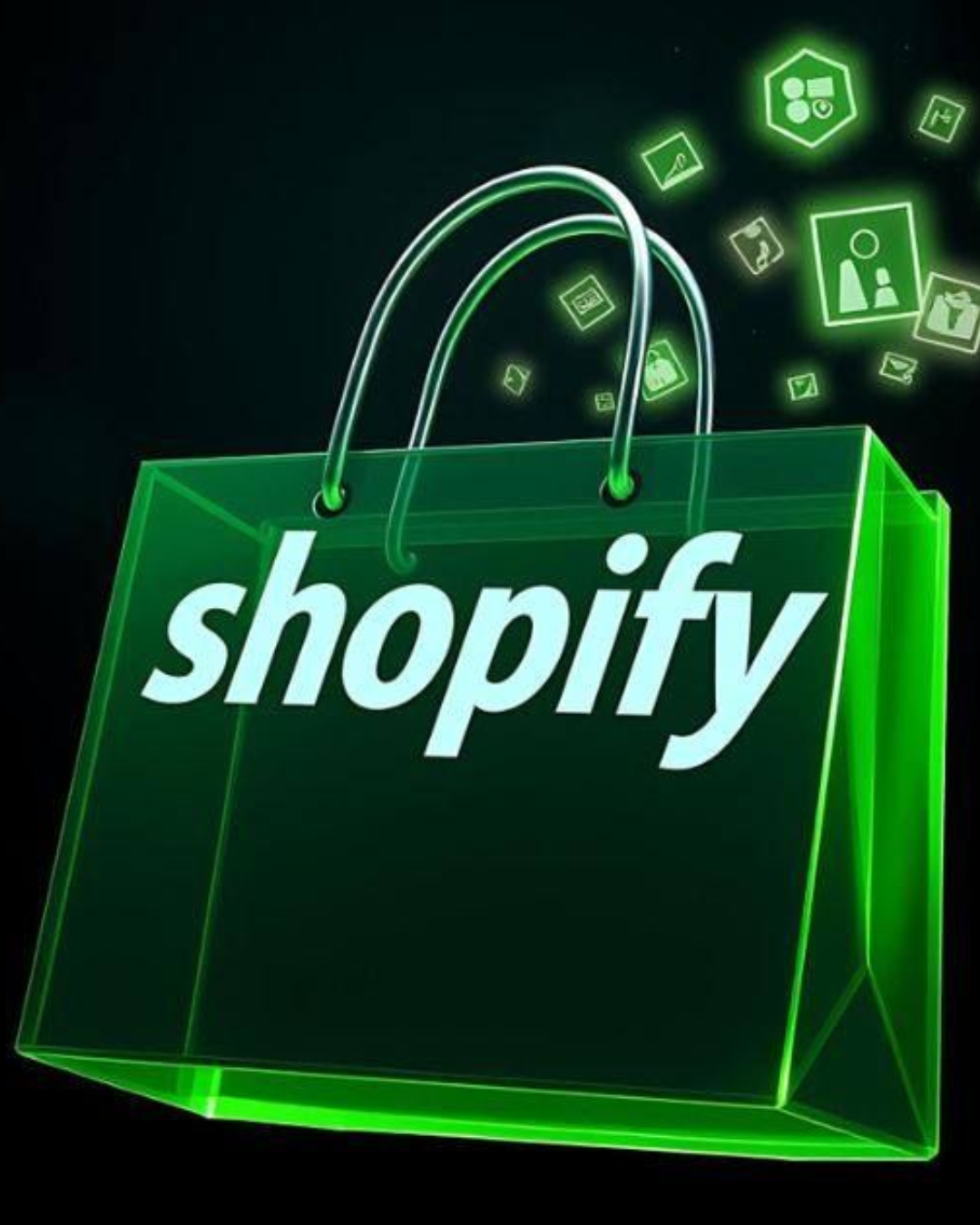 shopify store setup
